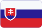 CVO Group Česká republika, s.r.o. Slovensky
